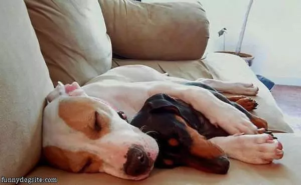 Keeping Each Other Warm