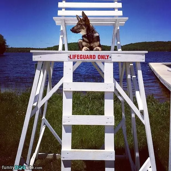 Lifeguard