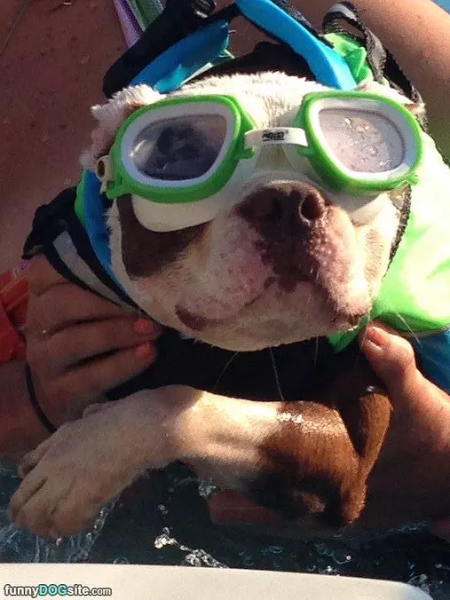 Ready For A Swim