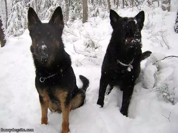 We Love The Snow