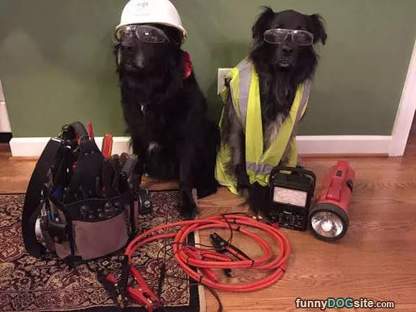 Ready To Work
