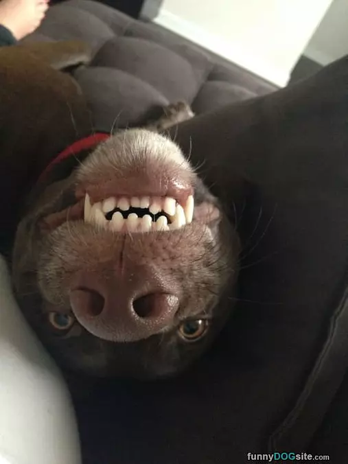 Upside Down Smile