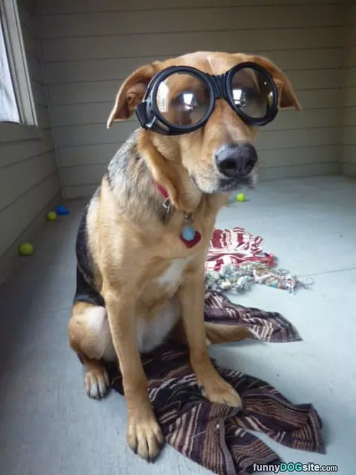 My Big Glasses