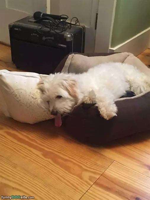Sooo Tired
