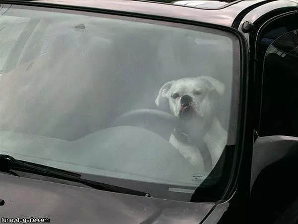 Out Of My Way