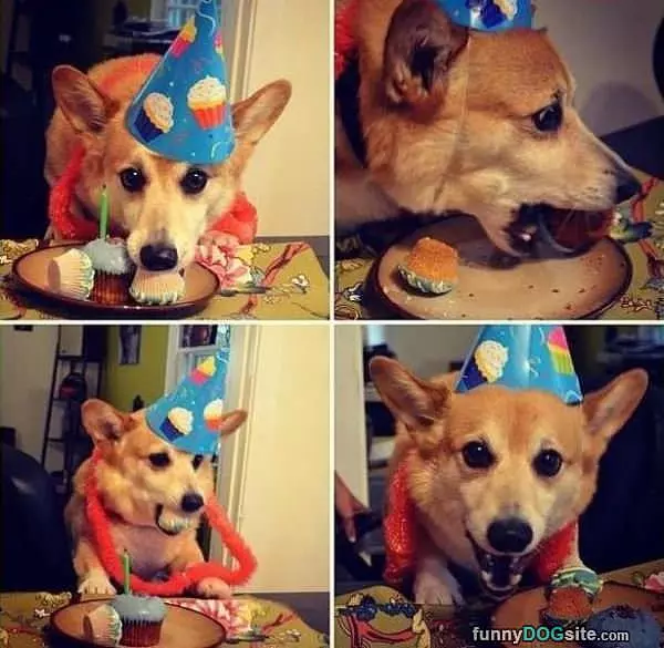 I Love My Birthday