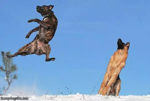 High Jump