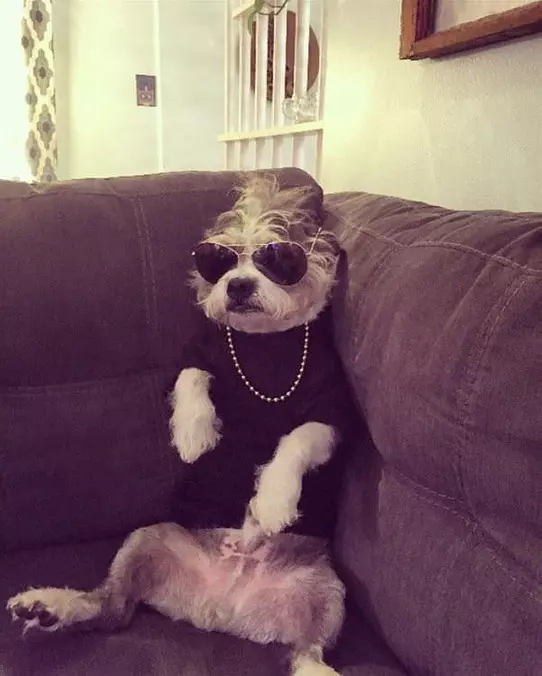 Chillin Out Today