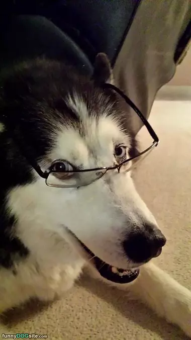 Got My Reading Glasses