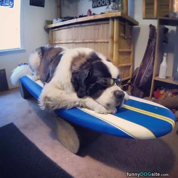 Surfin Usa