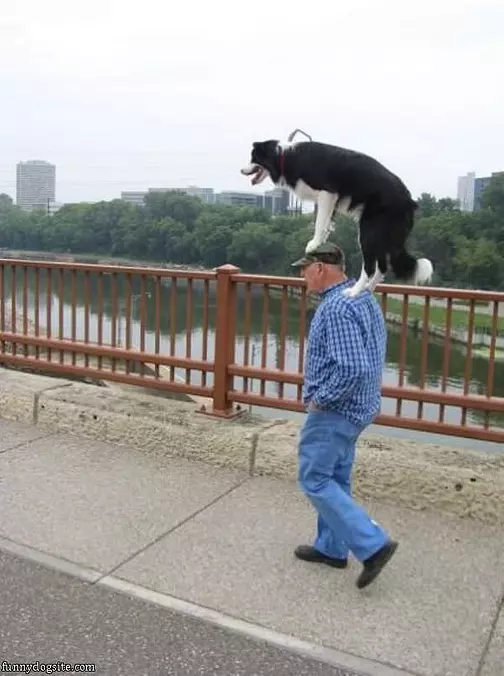 Getting A Ride