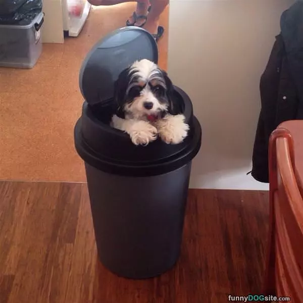 I Am Not Garbage