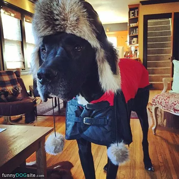 Ready For The Cold