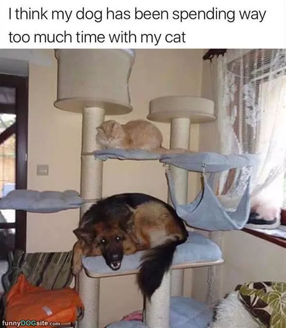 Spending Too Much Time
