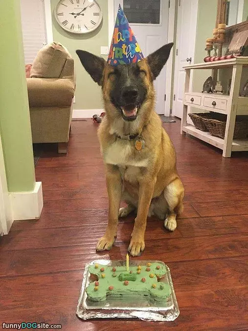 Best Birthday Ever