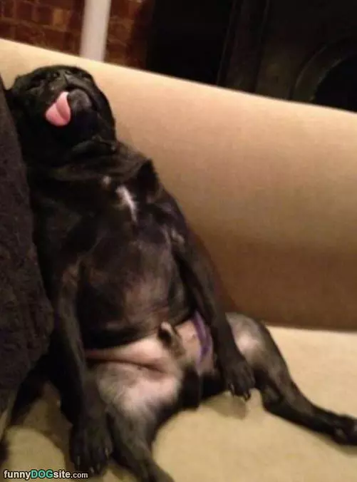 Sooooo Passed Out