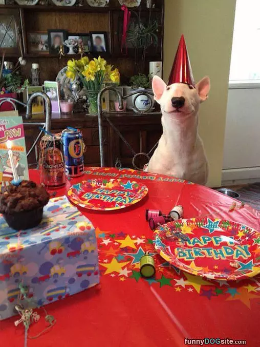 I Wants My Cake Now