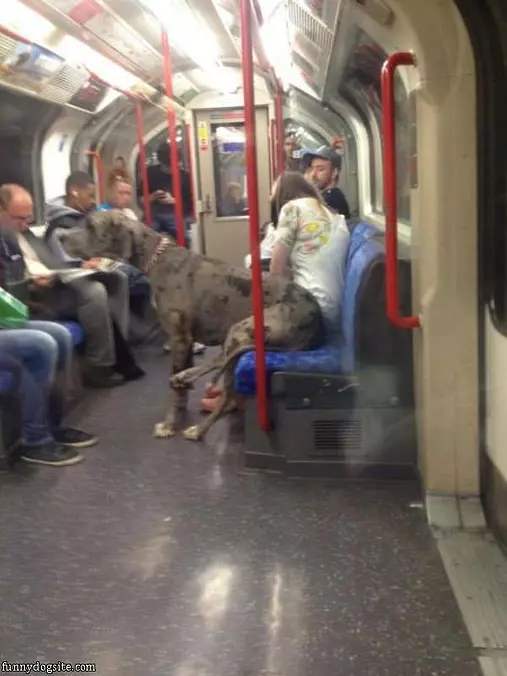 Just Taking The Train