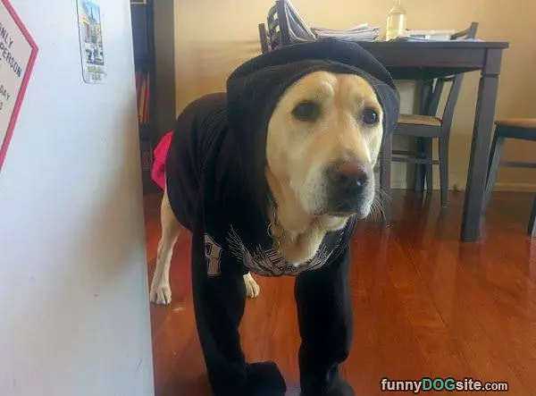 Its Cold In Here