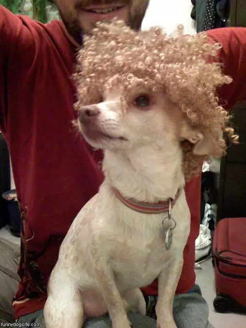 Afro
