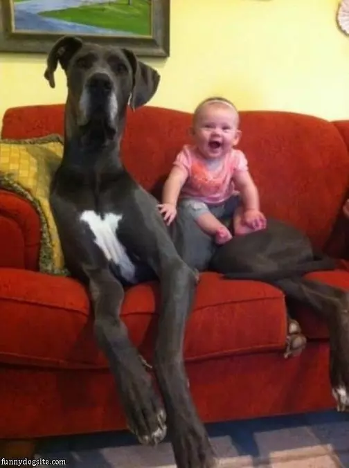 This Is My Body Guard