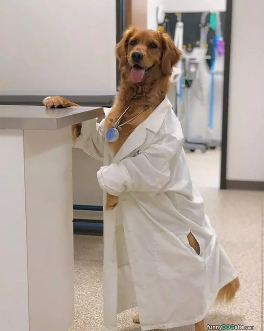The Doctor Is In