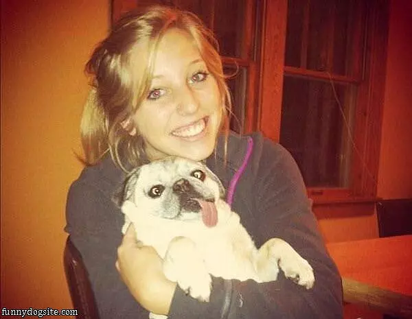 Look At This Dog