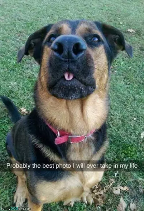Probably My Best Photo