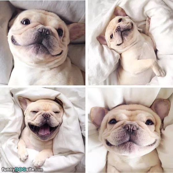 Hahahaha This Is Fluffy
