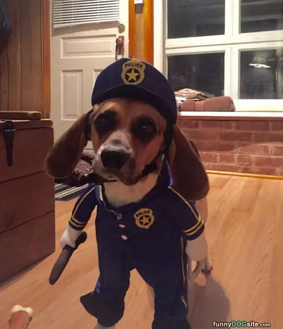 The Police