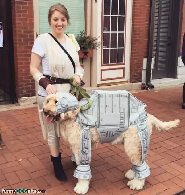 Star Wars
