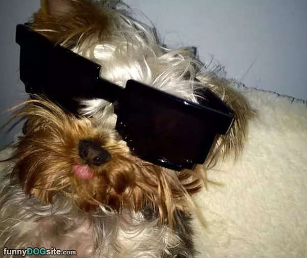 Yo Wasuppp