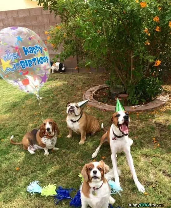 A Birthday Party