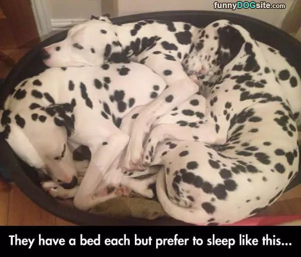 Sharing The Bed