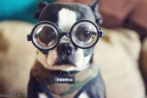 I Can See Forever