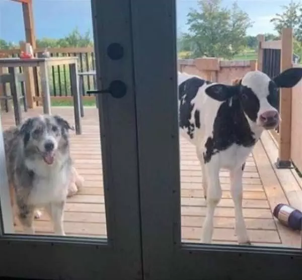 We Are Ready To Come In