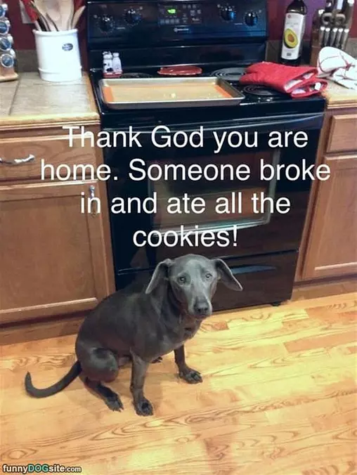 Someone Broke In