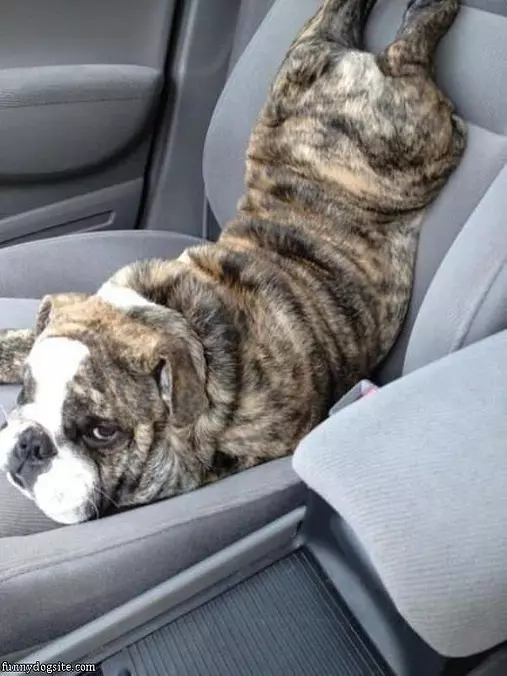 This Is So Comfortable
