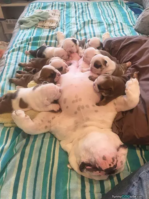 Very Tired Now