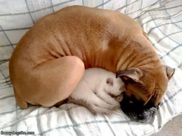 Keep Each Other Warm