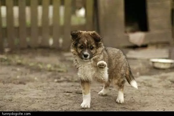 High 5