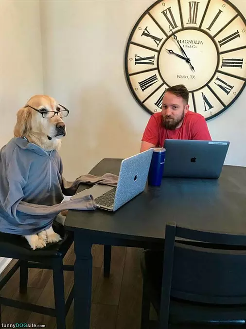 Getting Some Work Done