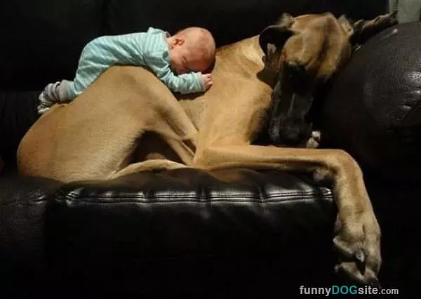 The Best Of Friends
