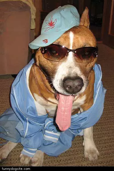 Pimp