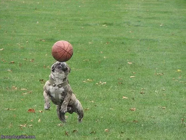 Playing Basketball