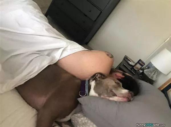 Asleep With My Buddy