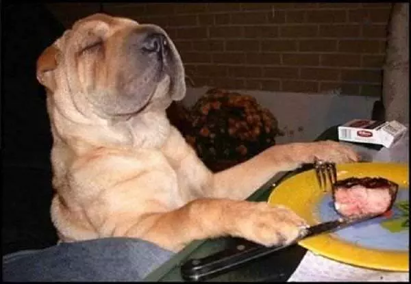 Good Steak