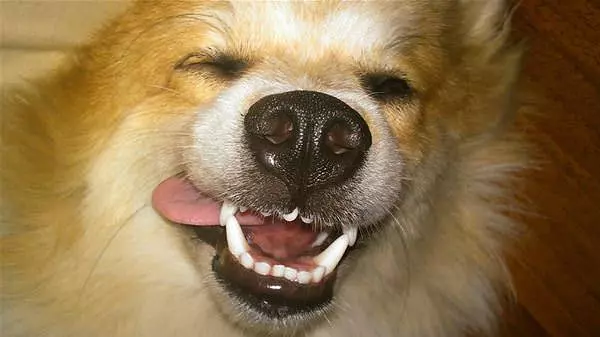 Extreme Closeup