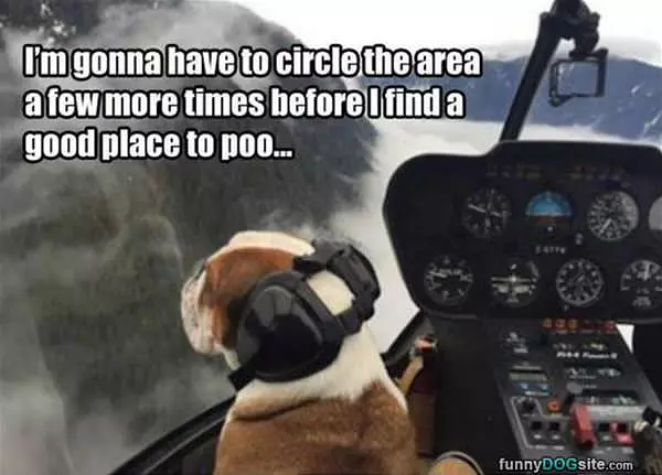 Circle The Area