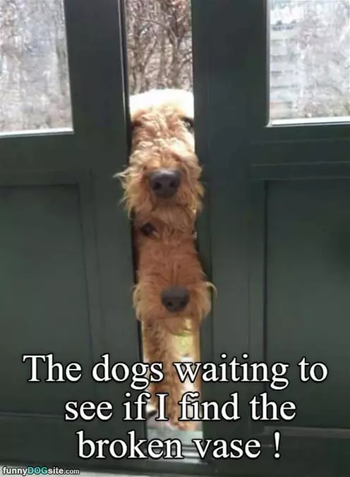 Waiting To See